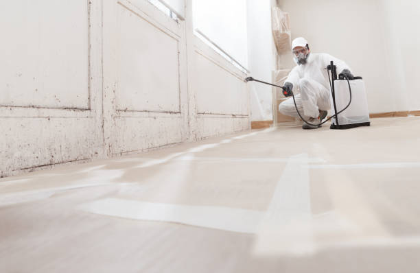 24/7 Emergency Basement Mold Remediation experts in Hamilton, TX